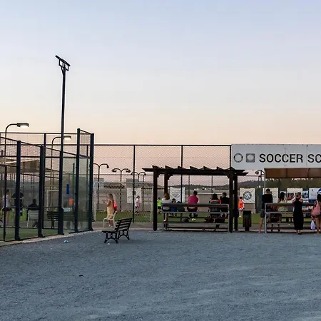 Adjacent To Aphrodite Premium I クークリア